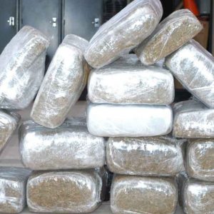 Bolivian Cocaine